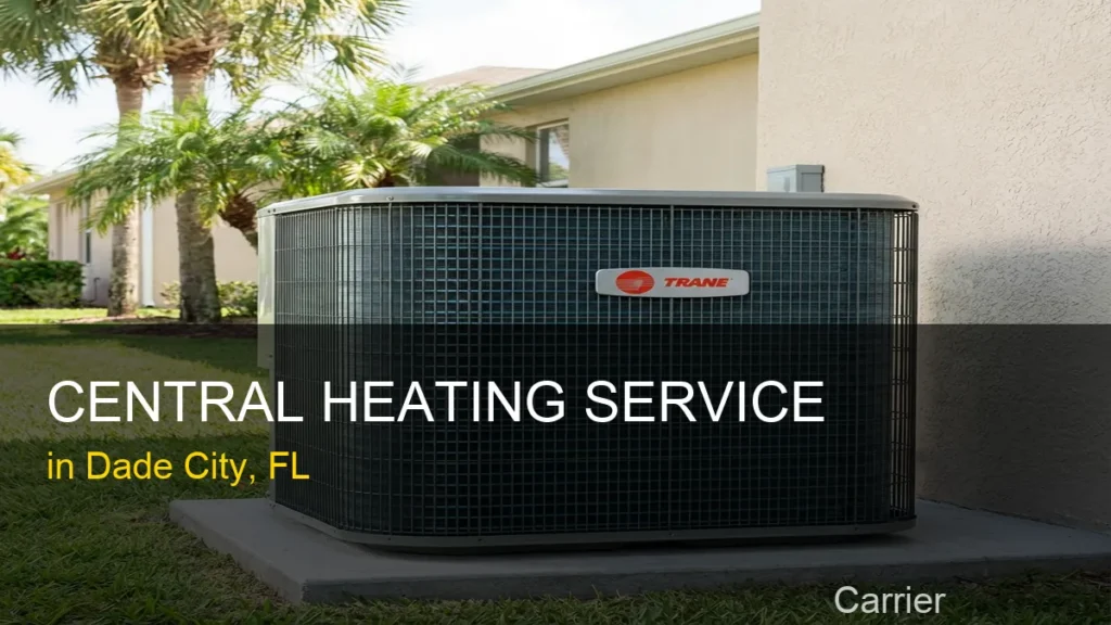 Central Heating Service in Dade City - Carrier