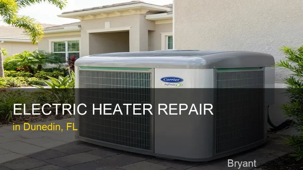 Electric Heater Repair in Dunedin - Bryant