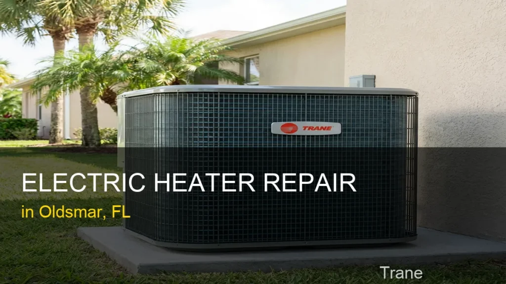 Electric Heater Repair in Oldsmar - Trane