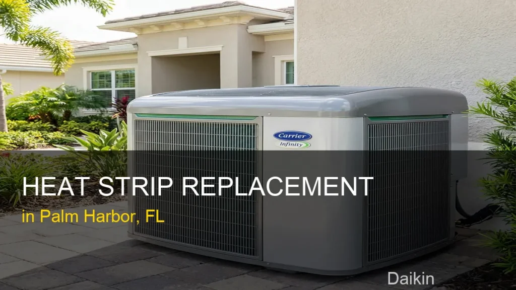 Heat Strip Replacement in Palm Harbor - Daikin